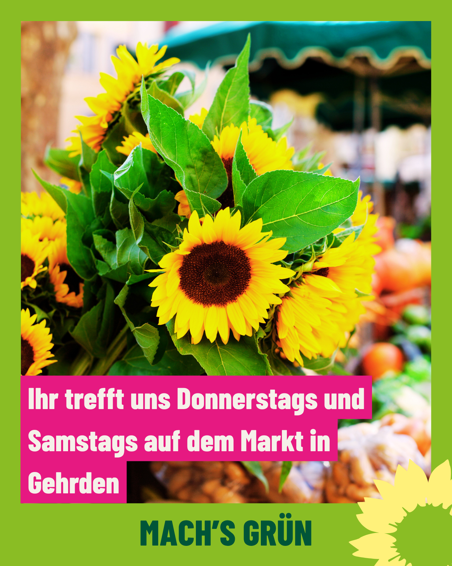 Im Vordergrund steht ein großer Strauß mit mehreren Sonnenblumen und grünen Blättern. Im Hintergrund sind unscharf weitere Marktstände und bunte Farben zu erkennen. Am unteren Bildrand befindet sich ein grüner Rahmen mit einer stilisierten Sonnenblume und dem Schriftzug 'MACH'S GRÜN'. Über dem Strauß steht auf einem pinken Kasten in weißer Schrift: 'Ihr trefft uns Donnerstags und Freitags auf dem Markt in Gehrden'.